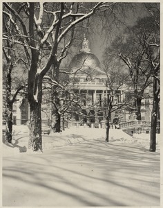 Common and State House in snow