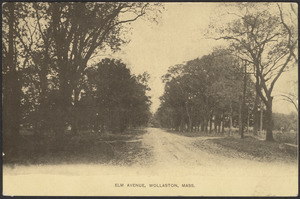 Elm Avenue, Wollaston, Mass