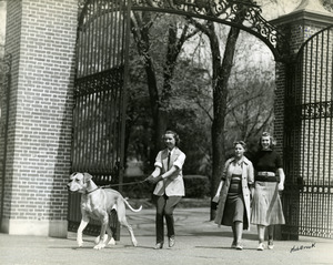 Abbot Academy gate with students and dog