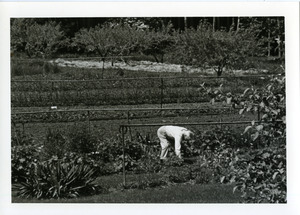 Abbot Academy garden