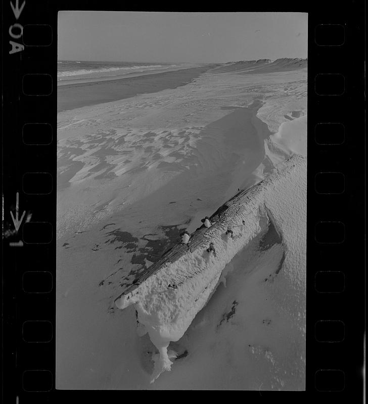 Plum Island winter beach