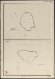 Kawahe or Vincennes Island, Paumoto Group ; Raraka Island, Paumotu Group