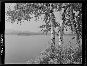 Lake, Pittsfield