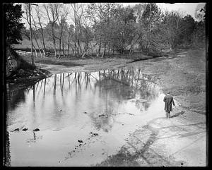 Flooded road