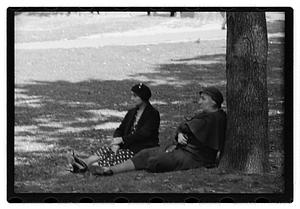 Boston Common at random