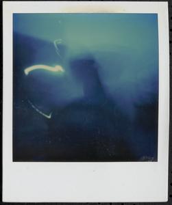 Blurry image of unidentified object