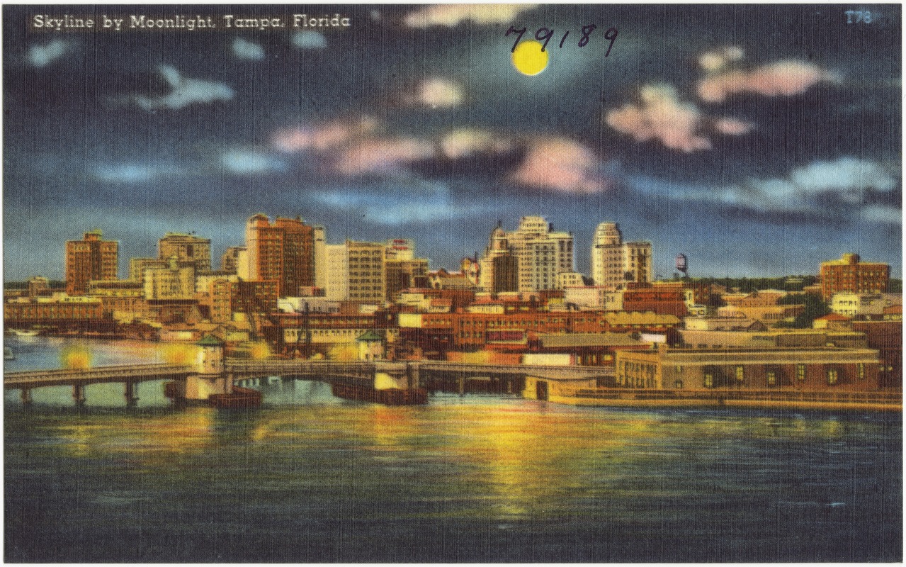 Skyline by moonlight, Tampa, Florida