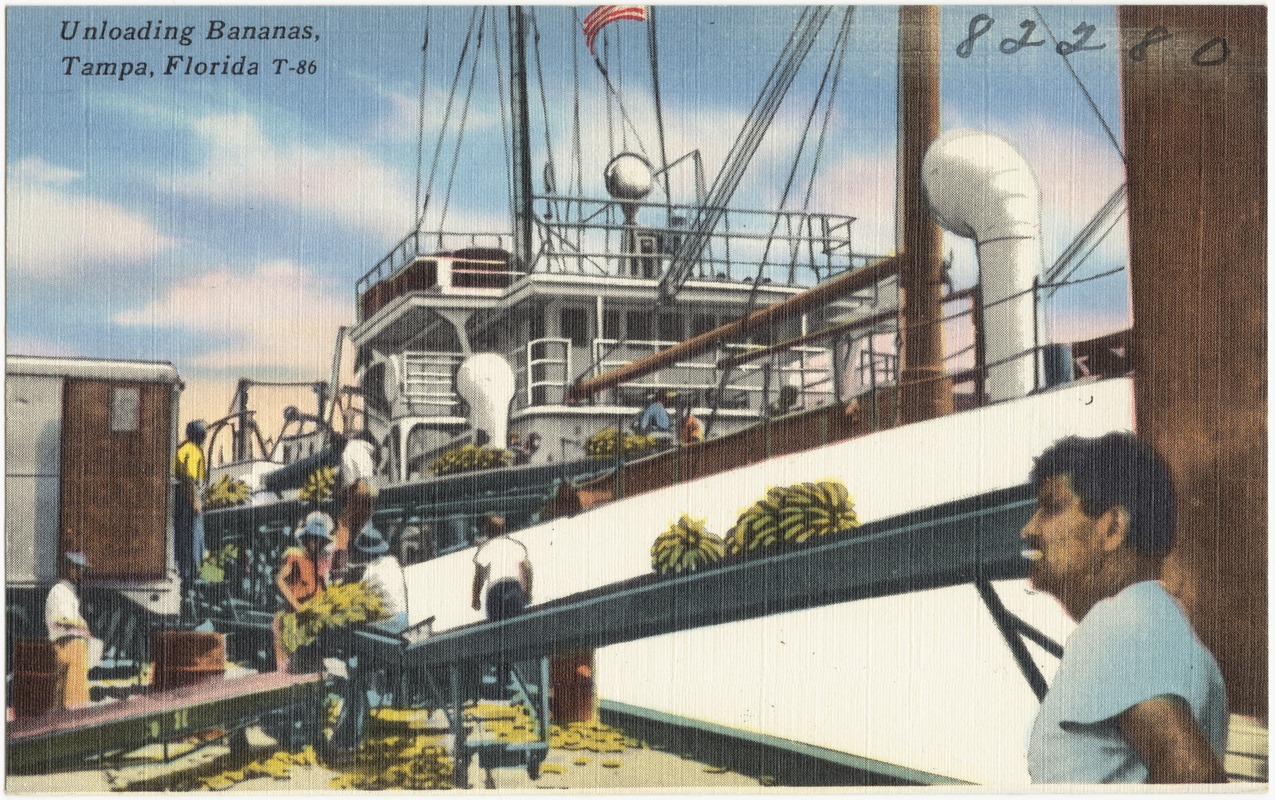Unloading bananas, Tampa, Florida Digital Commonwealth