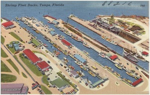 Shrimp fleet docks, Tampa, Florida