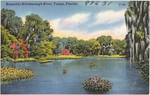 Beautiful Hillsborough River, Tampa, Florida