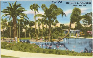 Busch Gardens, Tampa, Florida