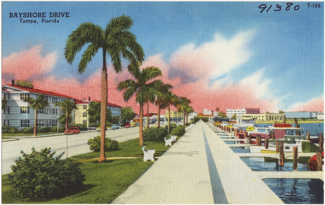 Bayshore Drive, Tampa, Florida