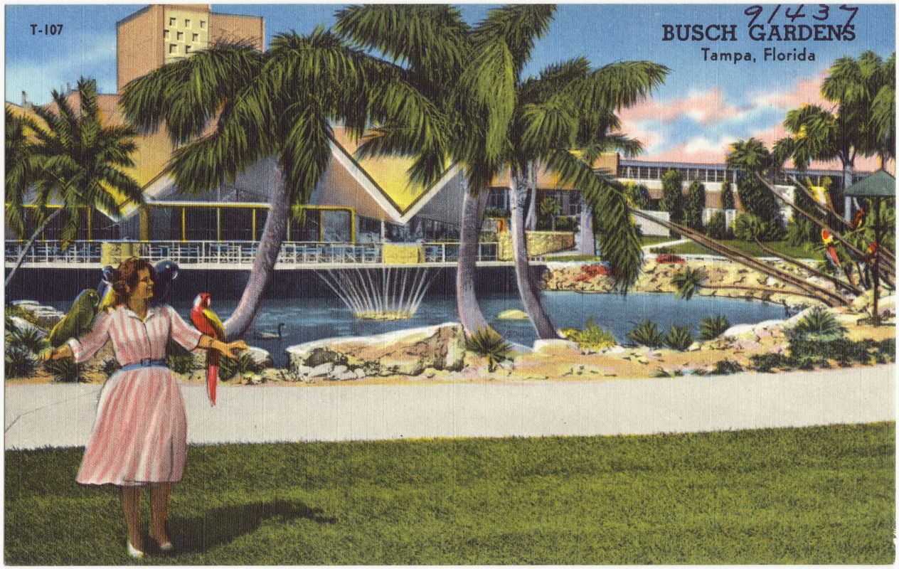Busch Gardens, Tampa, Florida