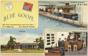 Blue Goose, gift fruit headquarters and juice bar, U.S. highway, Vero Beach, Florida