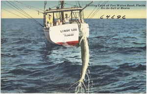 Thrilling catch off Fort Walton Beach, Florida, on the Gulf of Mexico