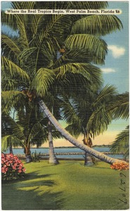 Where the real tropic begin, West Palm Beach, Florida