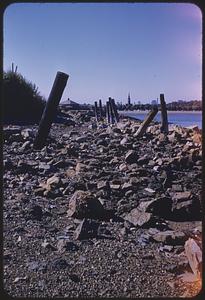 Carson, old pilings, South Boston