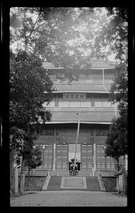 Pagoda framed by trees