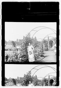 Unidentified boy and woman, rose garden, Boston