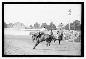 Brockton Fair