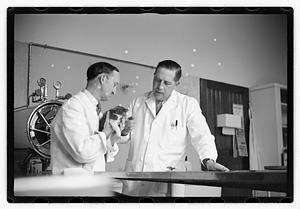 Dr. Dailey Angell Memorial Animal Hospital