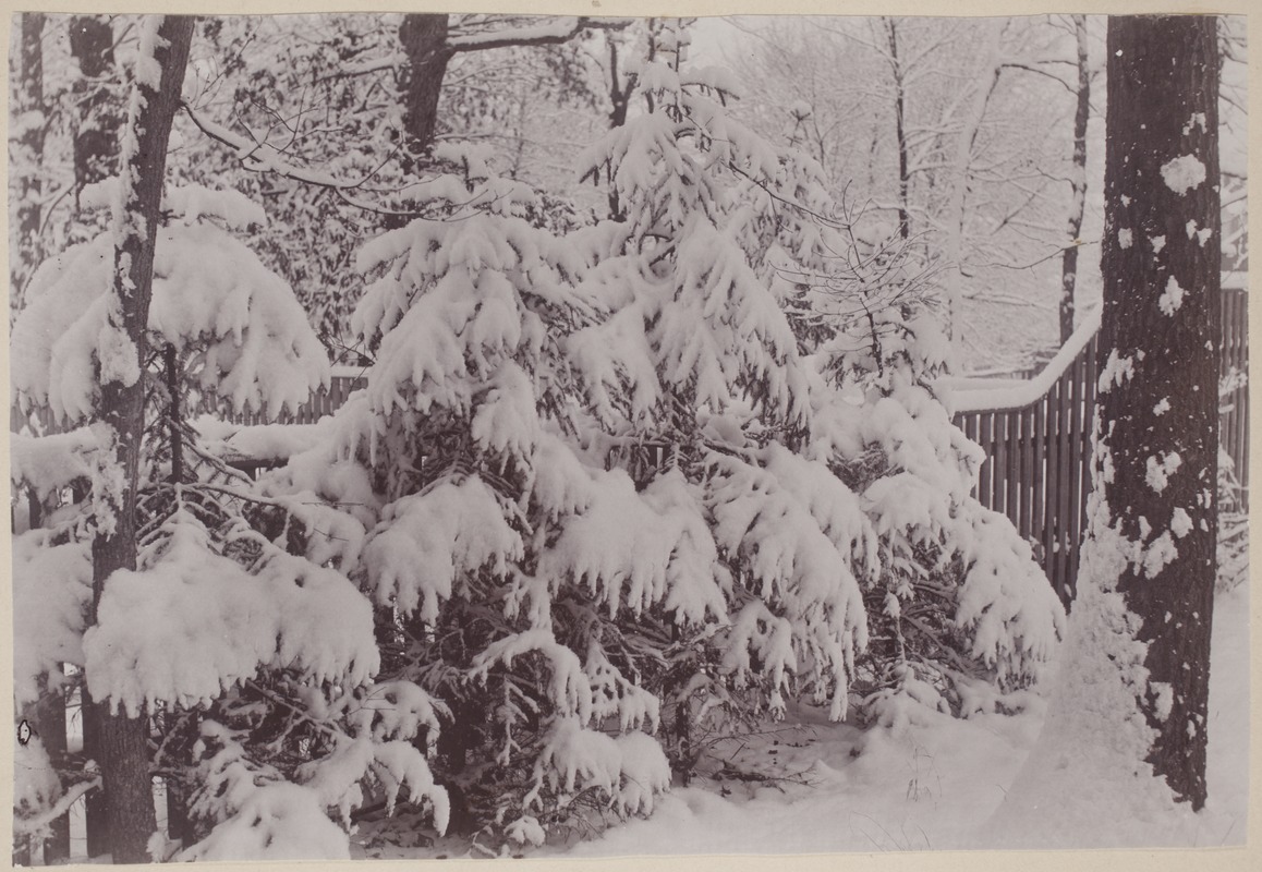 Photograph Album of the Newell Family of Newton, Massachusetts - Snow Scene -
