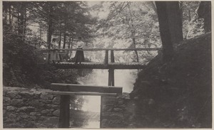 Photograph Album of the Newell Family of Newton, Massachusetts - Two Young Women on Footbridge -