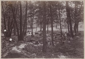 Photograph Album of the Newell Family of Newton, Massachusetts - Drive to Medfield -