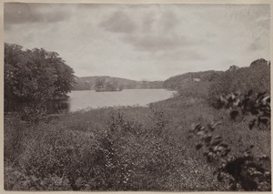 Photograph Album of the Newell Family of Newton, Massachusetts - River and Island -