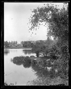 Back Bay Fens