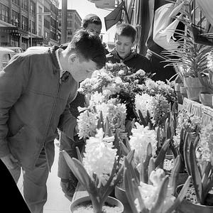 Smelling Easter flowers, Union Street, New Bedford