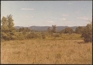 Field and distant mountain