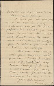 Letter from Zadoc Long III to John D. Long, November 22, 1868