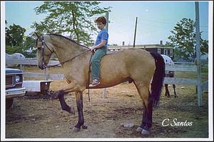 Tina and her horse