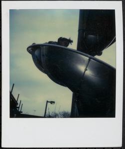 Girl playing on slide