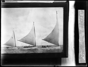 Yachts Dartwell, Dolly M., Mudjekeewis