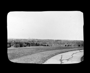 View from Forbes Hill