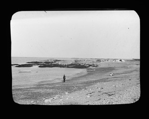 Minot's Light, the glades and shore from Breakwater Light at North Scituate