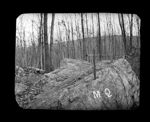 Town boundary, Milton and Quincy, Forrest Street