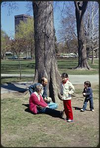 Public Garden/park in the heart of city