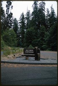 July Creek Campground sign in front of trees, Amanda Park, Washington