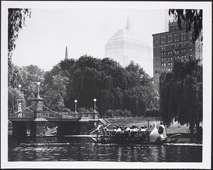 Swan boats in the Boston Public Garden