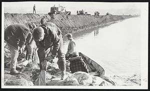 Flood Heroes-Teenagers and college students at work filling and stacking sandbags to quell the rising Mississippi River at Hastings, Minn. The Mississippi crested at 25.4 feet, 10 feet above flood stage yesterday. State's young people have received special commendation from Legislature for their work in crisis.