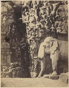 Descent of the Ganges, or Arjuna's Penance, Mamallapuram, India