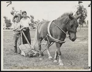 Taking the Work Out of Lawn Mowing. Mowing the family lawn isn't very appealing to most small boys during summer months and countless ways and means are invented to avoid this unpleasant task. But two boys, Bob Switzer (left) and Dick Cowper worked out an brilliant idea and with help from their pet pony, Bill, all drudgery was taken away from lawn mowing. An old bicycle tire, pieces of rope were all rigged together for the pony's makeshift harness and when the lawnmower was hooked on, the grass cutting became an easy job. Bob and Dick are 13 and 15 years of age respectively.