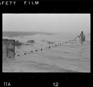 Minnow fisherman, Joppa