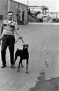 Guard and attack dog, LNG Everett