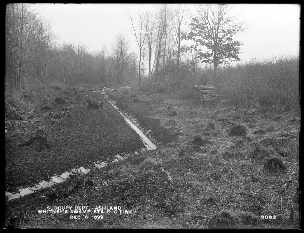 Sudbury Department, Whitney's Swamp, drainage ditch, station 5, G Line ...