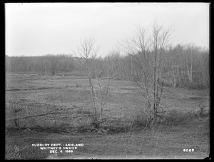 Sudbury Department, Whitney's Swamp improved, Ashland, Mass., Dec. 6, 1899