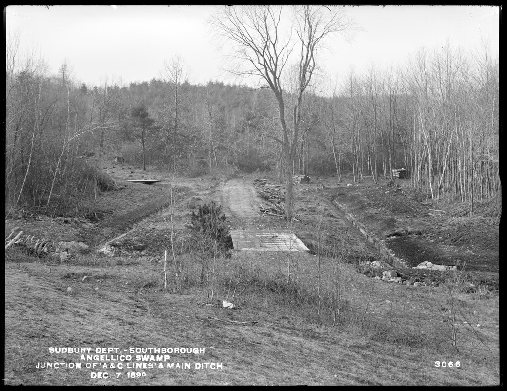 Sudbury Department, Angellico Swamp, drainage ditches, junction of A and C Lines, Southborough, Mass., Dec. 7, 1899